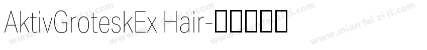AktivGroteskEx Hair字体转换